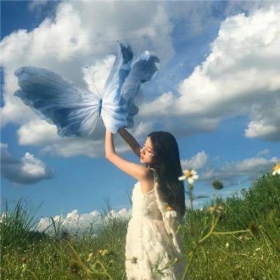王的命令 第二季