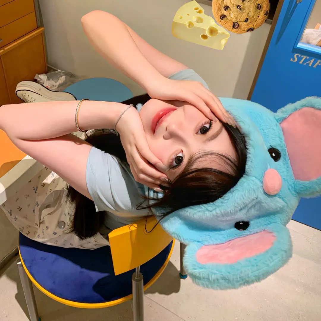 蜂蜜与四叶草